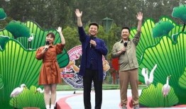 徐州恒大爆料事件视频最新,最新进展与争议焦点